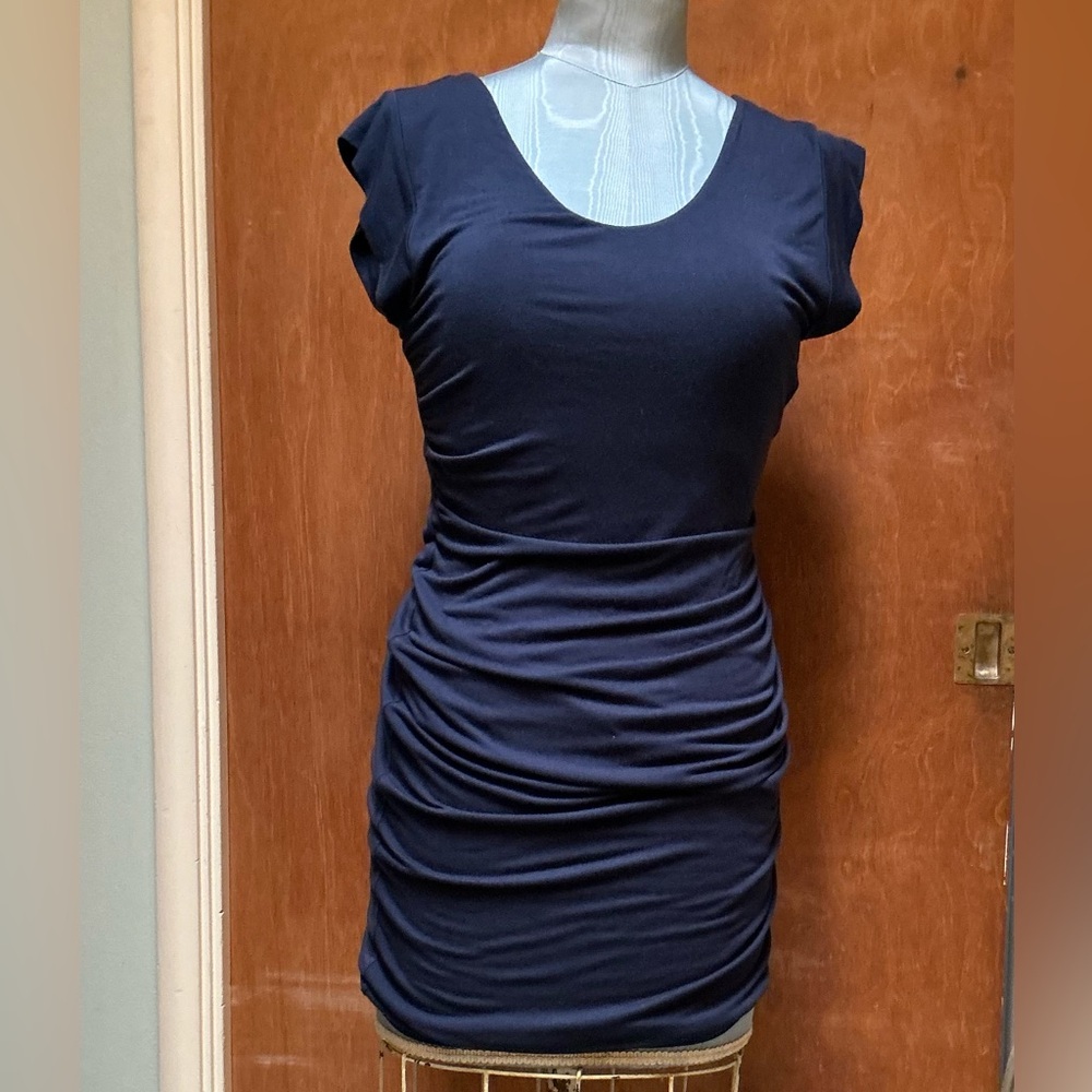 Velvet by Graham & Spencer Blue Ruched Dress